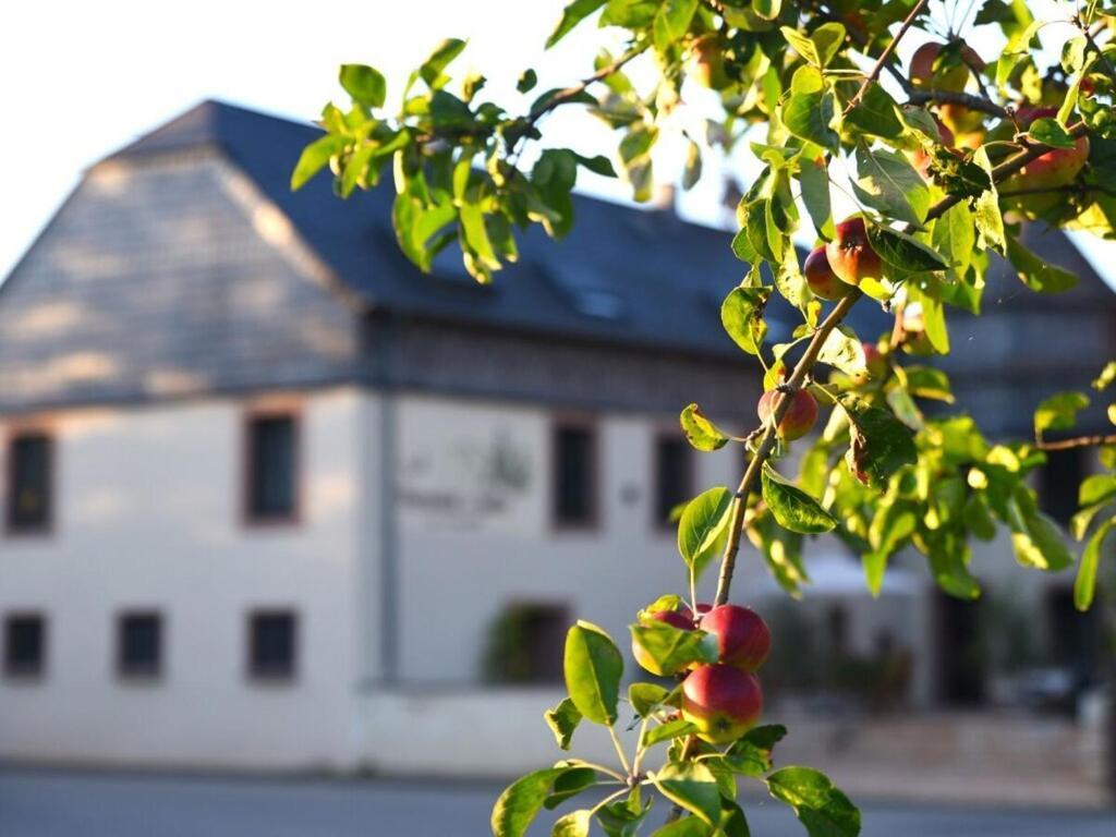 Halfenschaenke Modern Retreat Villa Piesport Kültér fotó